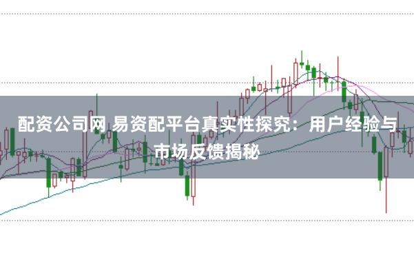 配资公司网 易资配平台真实性探究：用户经验与市场反馈揭秘