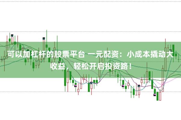 可以加杠杆的股票平台 一元配资：小成本撬动大收益，轻松开启投资路！