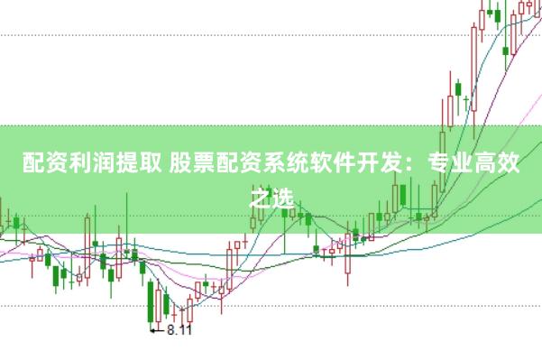配资利润提取 股票配资系统软件开发：专业高效之选