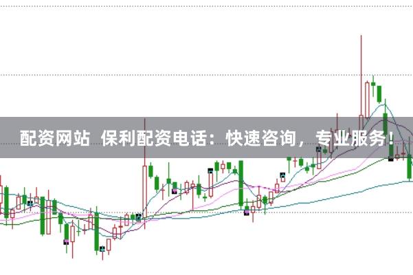 配资网站  保利配资电话：快速咨询，专业服务！
