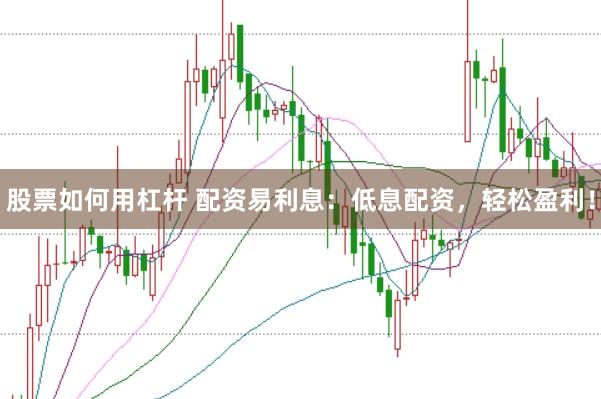股票如何用杠杆 配资易利息：低息配资，轻松盈利！