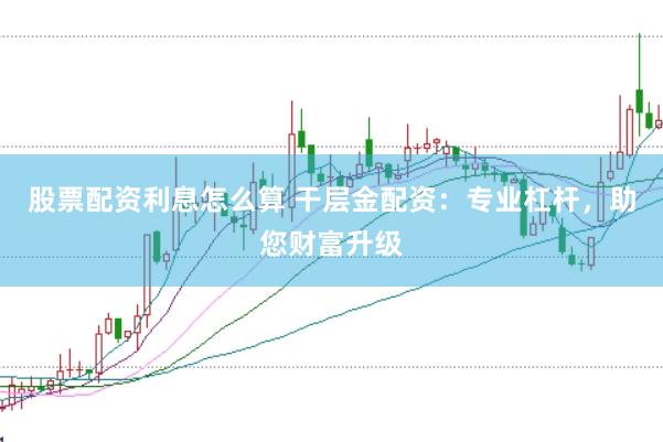 股票配资利息怎么算 干层金配资：专业杠杆，助您财富升级