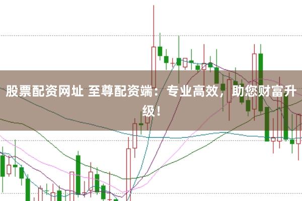 股票配资网址 至尊配资端：专业高效，助您财富升级！