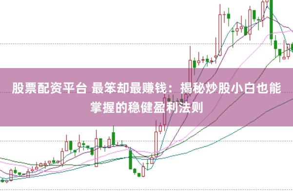 股票配资平台 最笨却最赚钱：揭秘炒股小白也能掌握的稳健盈利法则