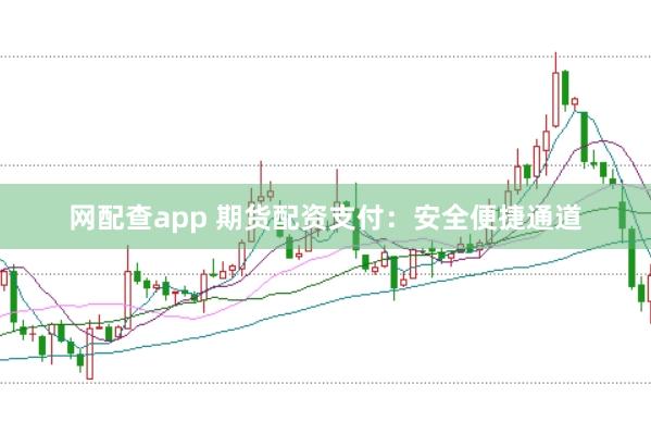 网配查app 期货配资支付：安全便捷通道