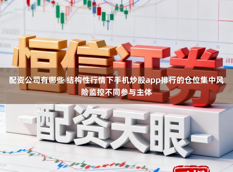 配资公司有哪些 结构性行情下手机炒股app排行的仓位集中风险监控不同参与主体