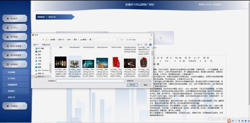 基于python flask框架的新疆伊力特品牌推广网站 开题 程序 论文 计算机毕设