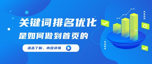 苏州seo推广公司是怎么把关键词做到的